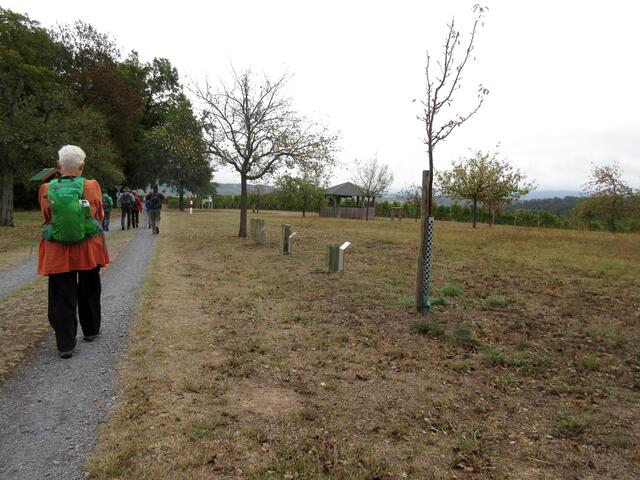 Die Birnbaumallee ist rechts und links von Grenzsteinen gesäumt, die 2009 restauriert und dort aufgestellt wurden.
