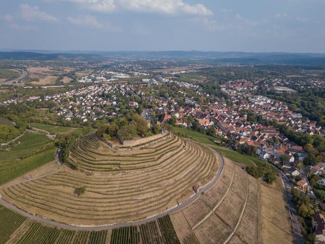 Die Weibertreu von oben: Die Weinreben sehen fast wie eine Spirale aus... Foto Matthias Bitsch