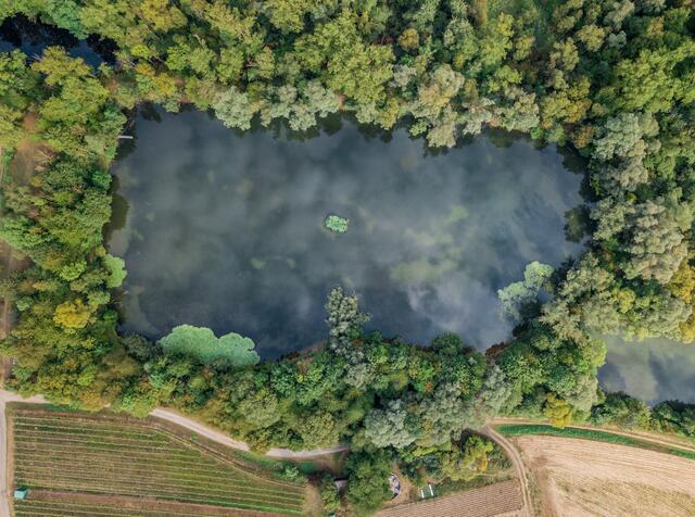 Das Seeloch in Lauffen war diesesmal auf der Guck-a-mol-Seite am Dienstag, 9. Oktober zu sehen. Hatten Sie es auf dem verpixelten Bild in Print erkannt? Foto: Matthias Bitsch