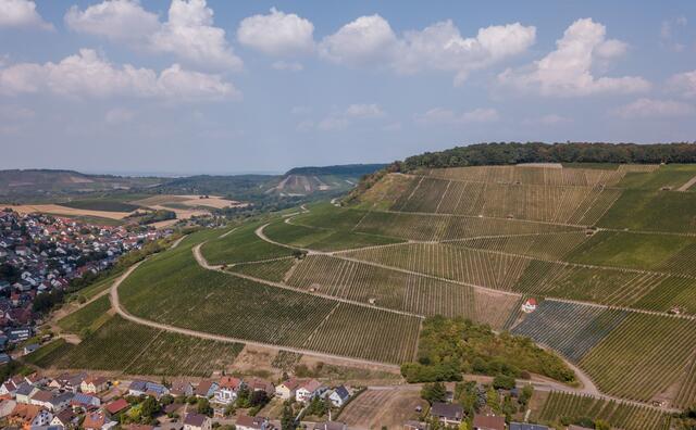 Der Blick auf den Kayberg in Erlenbach - auf meine.stimme haben die User den unverpixelten Blick darauf... Auf der Guck-a-Mol-Seite am Dienstag 16. Oktober, war dies nicht der Fall. Foto: Matthias Bitsch