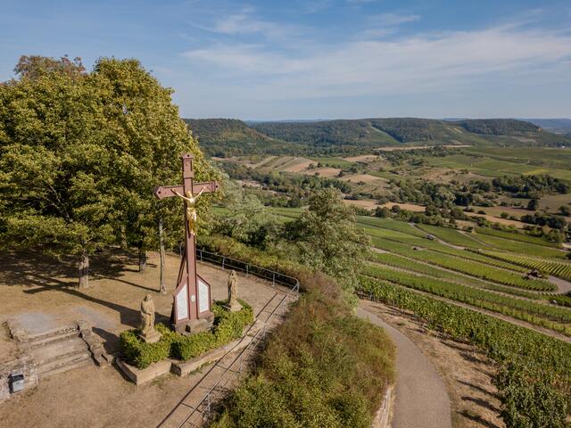 Auf der Guck-a-mol-Seite zu Neckarsulm war der Scheuerberg zu sehen. Foto: Matthias Bitsch