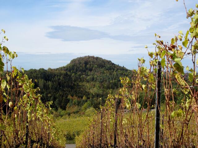 Der Ausblick zum Wunnenstein