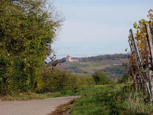 Burg Wildeck