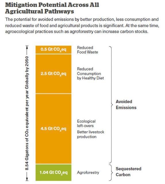 Potential der Landwirtschaft zur CO2-Senkung | Foto: CLARA