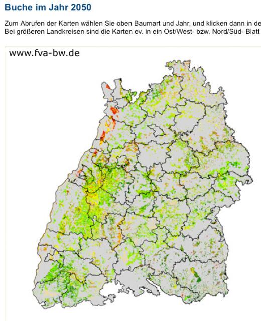 Klimakarte Buche 2050. Der Lebensraum für heimische Arten zieht sich  kühlere Lagen zusammen (z. B. Schwarzwald) | Foto: VFA