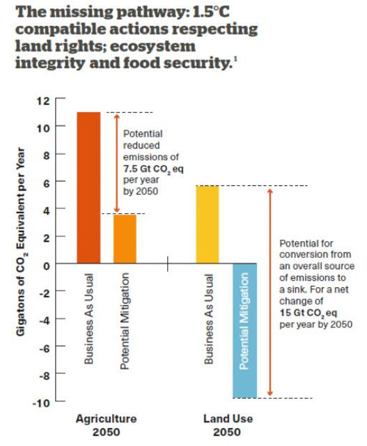 Business as usual und Änderungen der Landnutzung | Foto: CLARA