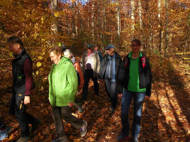 …durch den herbstlich bunten Wald