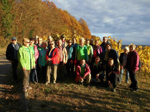 Die Albvereinsgruppe oberhalb von Gellmersbach