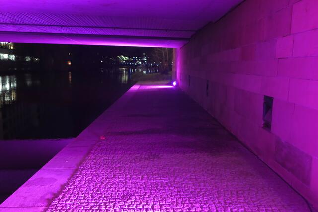 Lila Beleuchtung unter der Friedrich-Ebert-Brücke