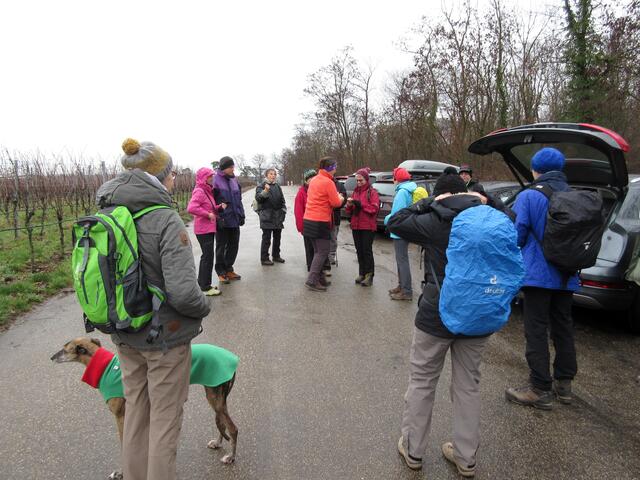 Und schon wieder hat eine Wander Freundin die 150 km mit der Gruppe erreicht, sie ist seit Ende August dabei. 150,5 km hatte sie nach der Weihnachtswanderung und wurde deshalb gleich am Treffpunkt geehrt.