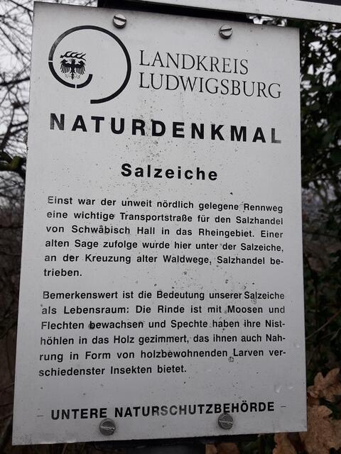 Hier war dann doch wohl eine bedeutende Kreuzung des Salzweges, wo man Handel bei der Salzeiche betrieben hat.