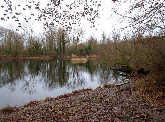 Spiegelung im Seelochsee, auch im Winter reizvoll