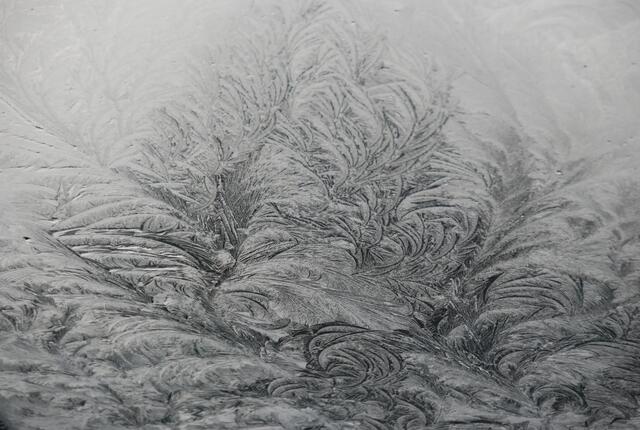 Die Schönheit der Eisblume steckt im Detail