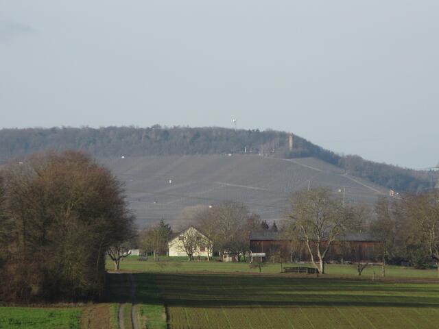 Aussicht zum Heuchelberg