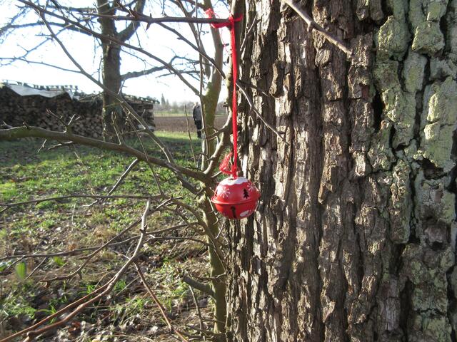 Da hat jemand einen Rest der Weihnachtsdeko vergessen. Den aufmerksamen Wanderern entgeht nichts.