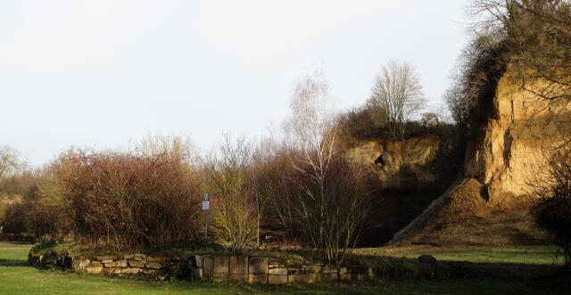 An den Lösswänden im Ziegeleipark befindet sich ein kleines Naturdenkmal-Schild. Allerdings sind sie nicht bei den Naturdenkmalen Heilbronn aufgeführt. Dies veranlasste uns zur Nachfrage. Herr Riexinger von der Stadt Heilbronn erklärte, sie wurden 1991 als ND sichergestellt, aber nicht endgültig ausgewiesen. Trotzdem findet sich dort eine gute Beschilderung