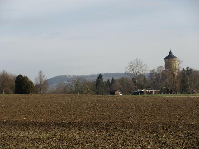 Blick hinüber zum Wartberg mit dem Wasserturm im Vordergrund