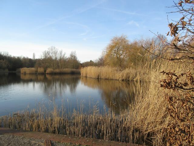Der See im Ziegeleipark