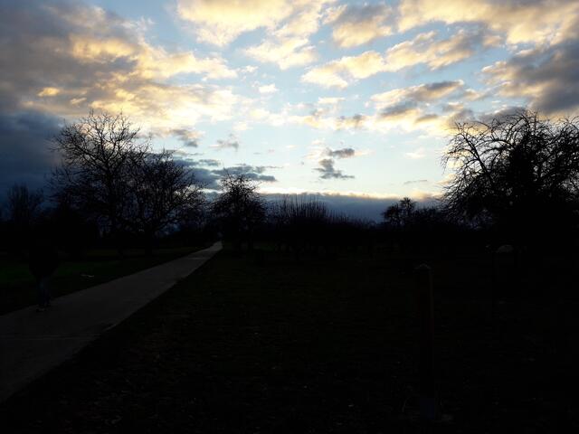 Der Mostbirnenweg in Abendstimmung während der Vorwanderung.