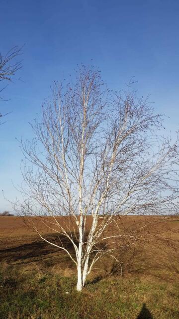 Eindrücke des Wanderns im Sonnenschein | Foto: Angelika Zöller