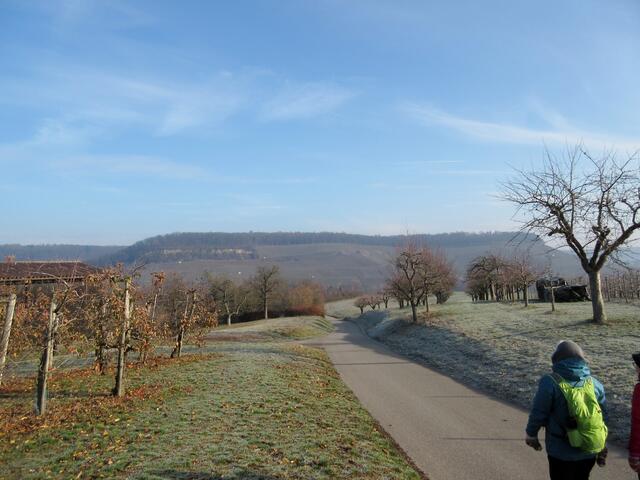 Frost auf den Wiesen, blauer Himmel, die Sonne im Rücken und eine wunderbare Aussicht. Herz was willst du mehr?