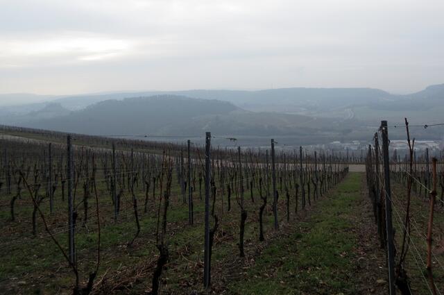 Blick vom Kayberg, ab hier trübte sich das Wetter ein. Rechts im Hintergrund sieht man sehr gut die Form eines Sattels, die dem Übergang zwischen Wartberg und Galgenberg seinen Namen gab.