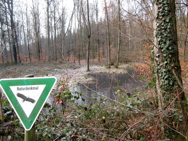 Pfitzbrünnele, das erste von drei Naturdenkmalen an der Wanderstrecke