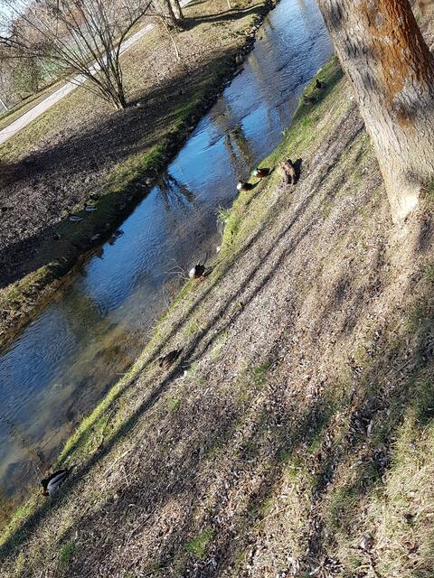 An der Sulm