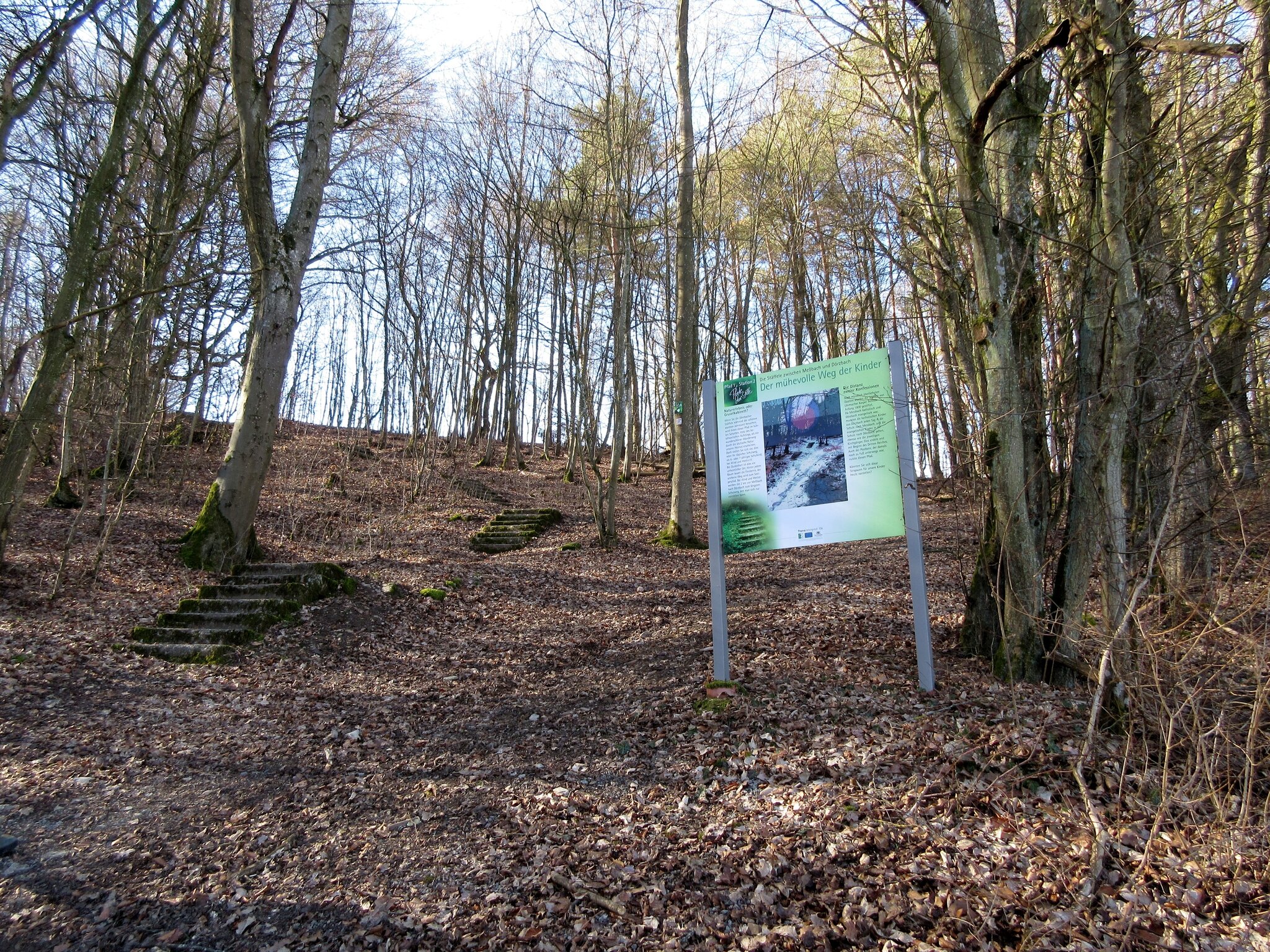 Stille Pfade in Hohenlohe - Ein Sonntagsausflug im \