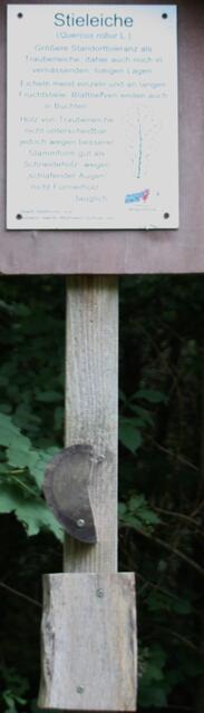 Schild am Waldlehrpfad. Ursprünglich war unten eine Baumscheibe angebracht um das Holz darzustellen.