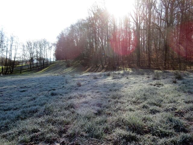 Schon früh trafen sich die Wanderer, damit sie um 9:00 Uhr bereits am Wanderparkplatz starten konnten.