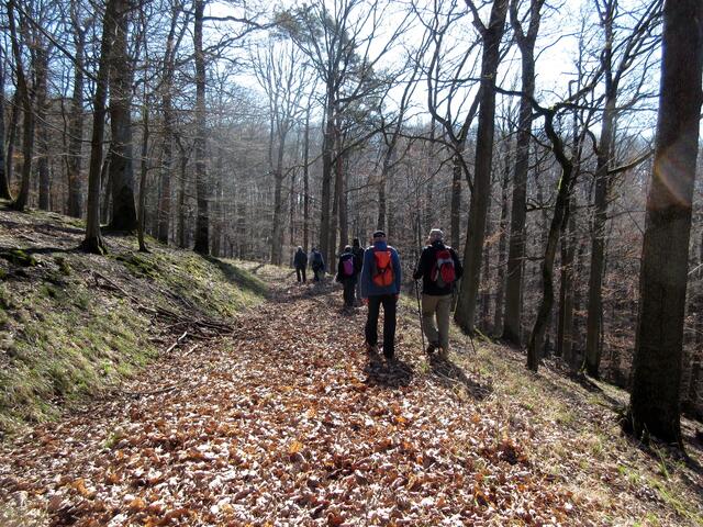 Ganz weich fühlt sich der Schritt an auf dem vielen Laub. Hier ist schon lange keiner mehr gegangen...