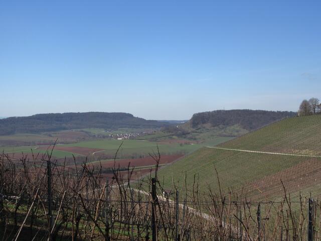 Aussicht über die rebenbewachsenen Hänge nach Schützingen und bis Zaisersweiher.
