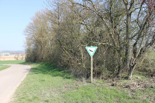 Kochert
