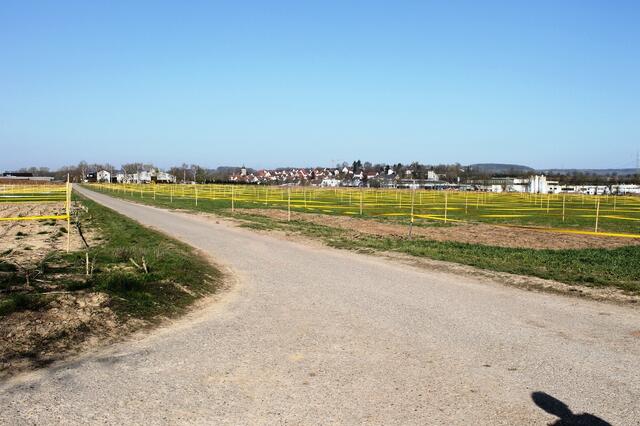 Kochert