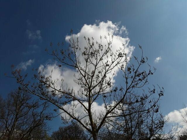Originalbild mit viel zu dunklem Himmel