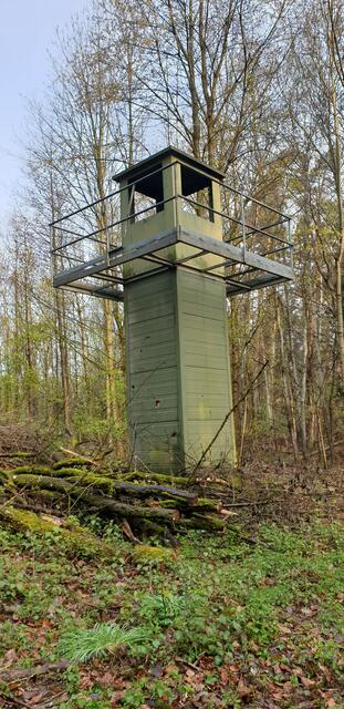 Amerikanischer Wachturm unterhalb der Waldheide