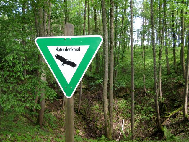 Es handelt sich um das einzige Naturdenkmal in Jagsthausen, im Juli 1986 ausgewiesen.