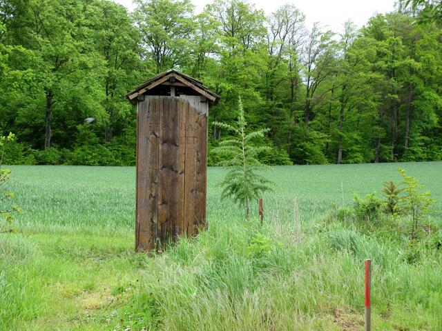 Nein, kein römischer Wachturm, ... eher ein Sch...häuschen ;-). Aber dort steht in Latein: Pecunia non olet. "Geld stinkt nicht."