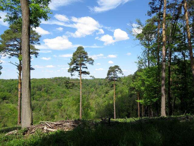 Aussichten wie im Urlaub