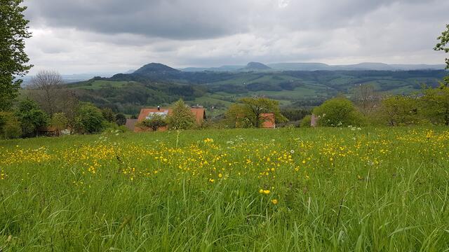 auf dem Weg zum Hohenstaufen: Blick auf die beiden anderen Kaiserberge Rechberg und Stuifen