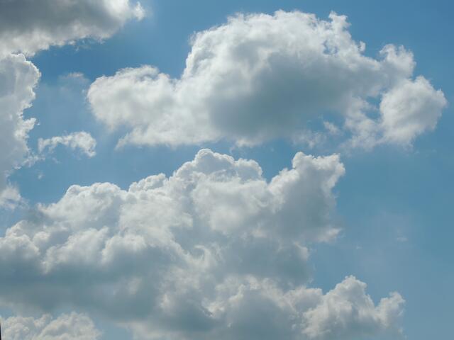 Alle Bilder in Kochendorf fotografiert