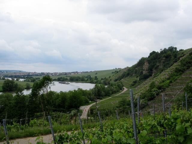 Rechts im Bild der Krappenfelsen, links der befahrene Neckar. Die Bank hier steht genau richtig.
