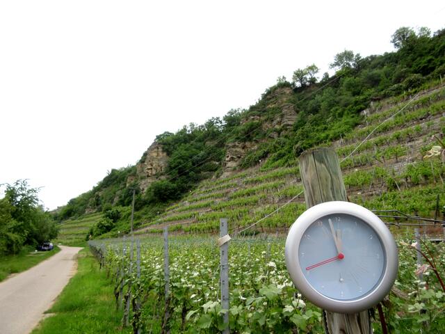 Kurz vor 12, die Uhr am Weinberg unterhalb vom Krappenfelsen stimmt genau. Die Wanderer sind bereits auf dem Rückweg.