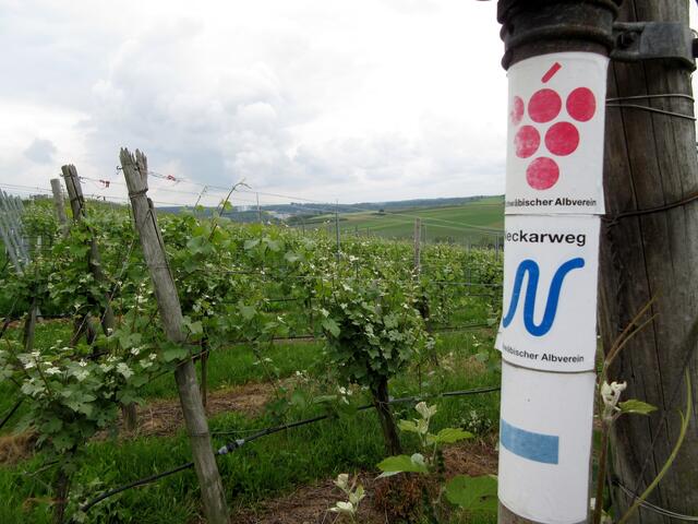 Wenn das blaue, rund geschwungene N auch das gleiche ist, hat der Albverein auf seinen Schildern vermerkt, dass es sich um den Neckarweg handelt.