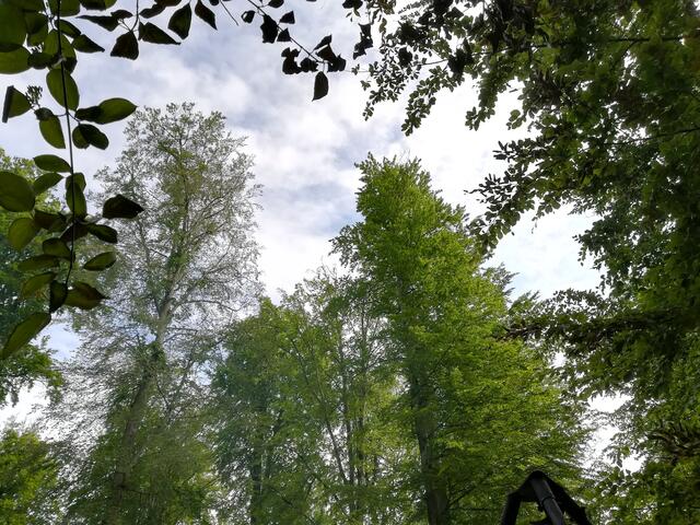 Es war wieder ein rundherum gelungenes Fest auf dem tollen Platz mitten im Wald