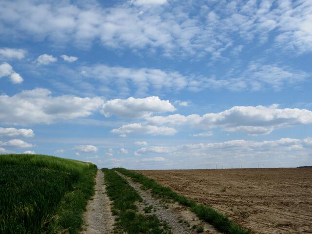 In Hohenlohe geht es direkt in den Himmel