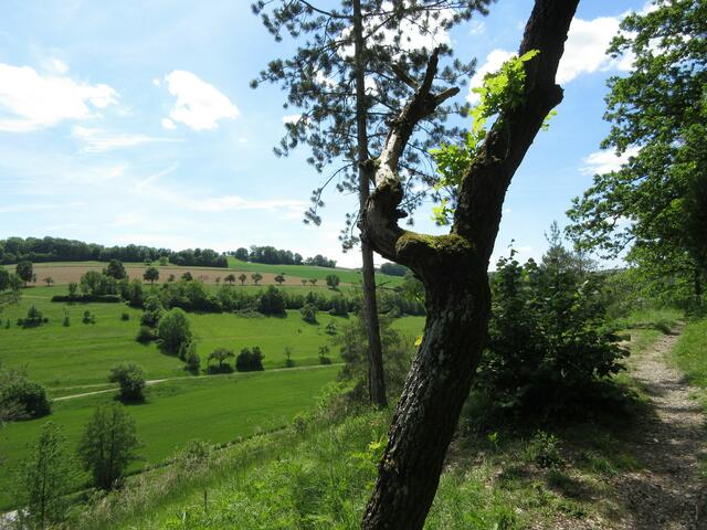 Orchideen direkt am Wegesrand und schöne Aussichten den ganzen Tag.