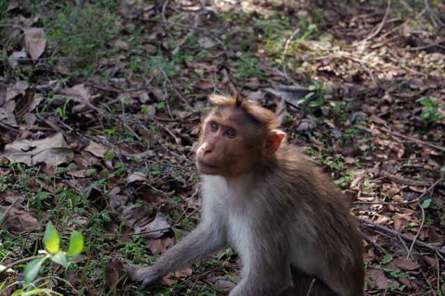 Indien-Reise der Eine-Welt-AG am Hölderlin-Gymnasium Lauffen