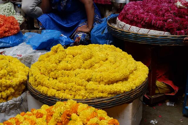 Indien-Reise der Eine-Welt-AG am Hölderlin-Gymnasium Lauffen